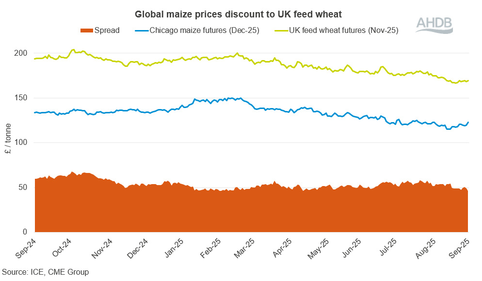 Graph showing global maize prices discount to UK feed wheat Sept 25